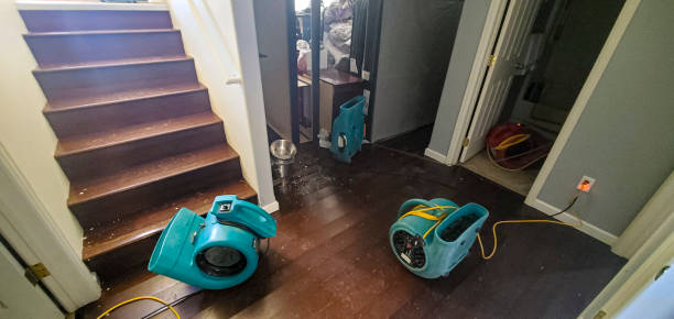 Best Carpet water damage restoration  in USA